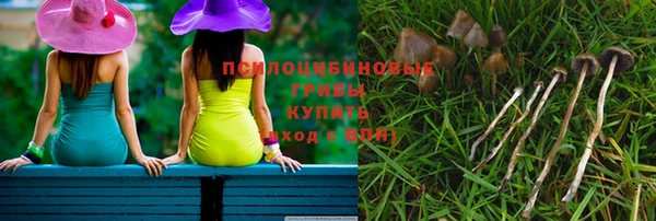 мет Арсеньев