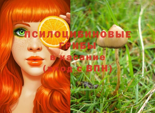 таблы Аркадак